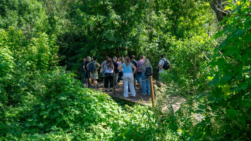 Día Mundial de los Humedales