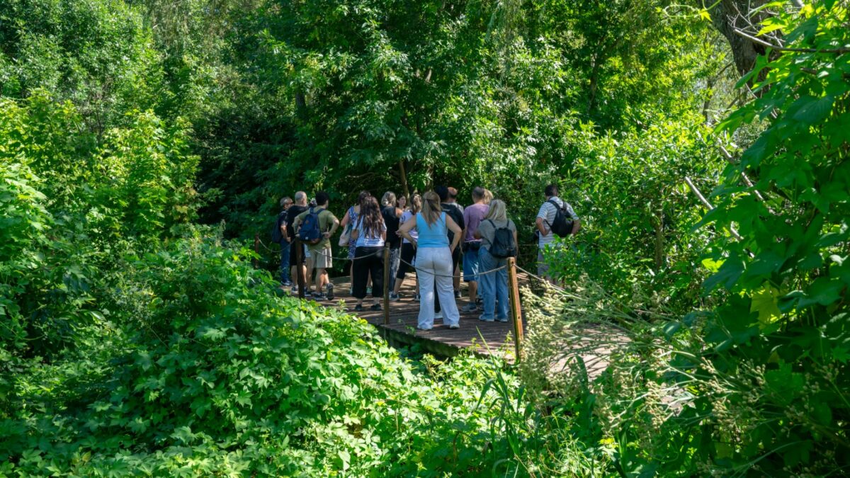 Día Mundial de los Humedales